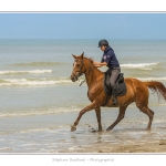 Cavaliers_St_Quentin_tourmont_31_07_2015_085-BorderMaker