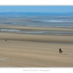 Equitation_Endurance_12_04_2015_011-BorderMaker.jpg