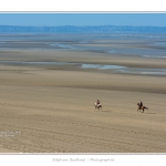 Equitation_Endurance_12_04_2015_013-BorderMaker.jpg