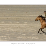 Equitation_Endurance_12_04_2015_017-BorderMaker.jpg