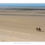 Equitation_Endurance_12_04_2015_018-BorderMaker.jpg