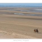 Equitation_Endurance_12_04_2015_020-BorderMaker.jpg