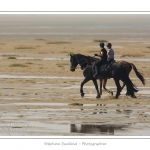 Cavaliers en promenade dans la rÃ©serve naturelle en Baie de Somme Ã  marÃ©e basse - saison : Ã©tÃ© - Lieu : RÃ©serve naturelle, proximitÃ© du parc ornithologique du Marquenterre, Saint-Quentin-en-Tourmont, Baie de Somme, Somme, Picardie, France.