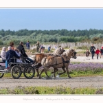 chevaux_Plage_Maye_04_08_2016_004-border