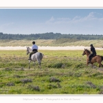 chevaux_Plage_Maye_04_08_2016_005-border