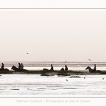 chevaux_Plage_Maye_04_08_2016_008-border