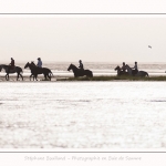 chevaux_Plage_Maye_04_08_2016_009-border