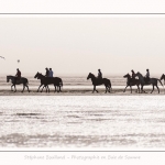 chevaux_Plage_Maye_04_08_2016_010-border