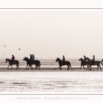 chevaux_Plage_Maye_04_08_2016_011-border
