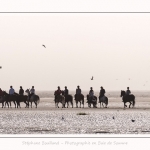 chevaux_Plage_Maye_04_08_2016_013-border
