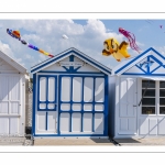 Festival des cerfs-volants à Cayeux-sur-mer sur le chemin des planches.