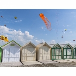 Festival des cerfs-volants à Cayeux-sur-mer sur le chemin des planches.