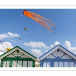 Festival des cerfs-volants à Cayeux-sur-mer sur le chemin des planches.