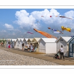 Festival des cerfs-volants à Cayeux-sur-mer sur le chemin des planches.