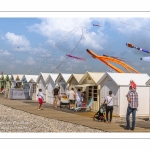 Festival des cerfs-volants à Cayeux-sur-mer sur le chemin des planches.