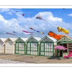 Festival des cerfs-volants à Cayeux-sur-mer sur le chemin des planches.