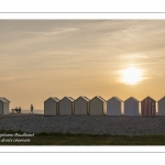 Le chemin des planches à Cayeux sur mer