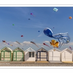 Le festival des cerfs-volants à Cayeux-sur-mer