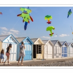 Le festival des cerfs-volants à Cayeux-sur-mer