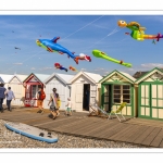 Le festival des cerfs-volants à Cayeux-sur-mer