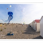 Le festival des cerfs-volants à Cayeux-sur-mer