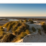 La_Molliere_28_12_2014_001-BorderMaker