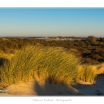 La_Molliere_28_12_2014_003-BorderMaker