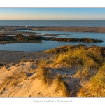 La_Molliere_28_12_2014_012-BorderMaker