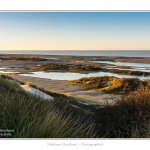La_Molliere_28_12_2014_013-BorderMaker