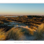 La_Molliere_28_12_2014_022-BorderMaker