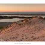 La_Molliere_28_12_2014_035-BorderMaker