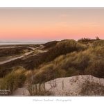 La_Molliere_28_12_2014_041-BorderMaker