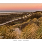 La_Molliere_28_12_2014_046-BorderMaker