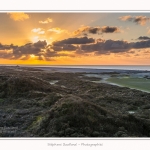 La_Molliere_Cayeux_06_12_2014_0005-border