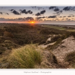 La_Molliere_Cayeux_06_12_2014_0008-border