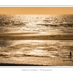cayeux_19_08_2013_012-border