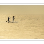 Paddle sur la plage de Cayeux-sur-mer au soleil couchant
