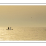 Paddle sur la plage de Cayeux-sur-mer au soleil couchant