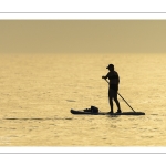 Paddle sur la plage de Cayeux-sur-mer au soleil couchant