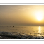 Paddle sur la plage de Cayeux-sur-mer au soleil couchant