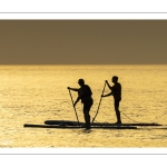 Paddle sur la plage de Cayeux-sur-mer au soleil couchant