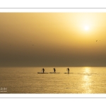 Paddle sur la plage de Cayeux-sur-mer au soleil couchant