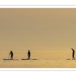 Paddle sur la plage de Cayeux-sur-mer au soleil couchant