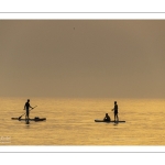 Paddle sur la plage de Cayeux-sur-mer au soleil couchant