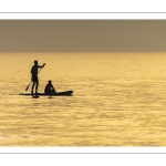 Paddle sur la plage de Cayeux-sur-mer au soleil couchant