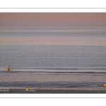 Pêcheur au haveneau à Cayeux