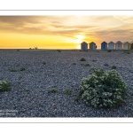 Coucher de soleil sur la plage de Cayeux-sur-mer