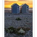 Coucher de soleil sur la plage de Cayeux-sur-mer