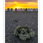 Coucher de soleil sur la plage de Cayeux-sur-mer