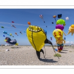 Le festival de Cerfs-volants le long du chemin des planches